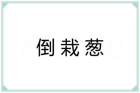 倒栽葱 倒栽葱