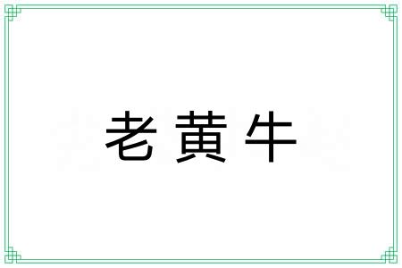 老黄牛