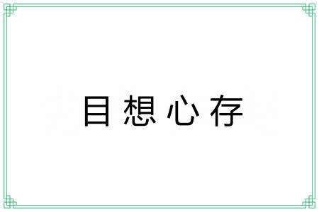 目想心存