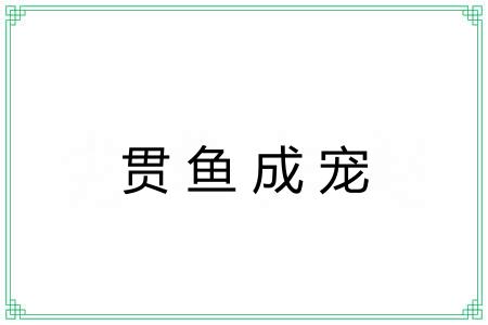 贯鱼成宠