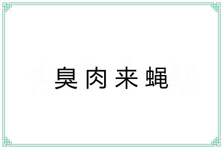 臭肉来蝇 臭肉来蝇