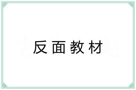 反面教材 反面教材