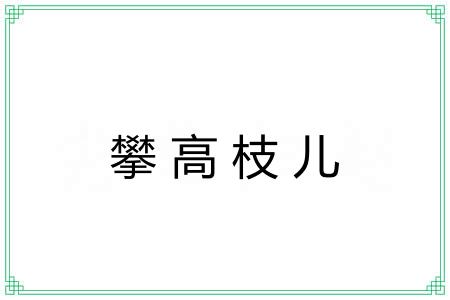攀高枝儿 攀高枝儿