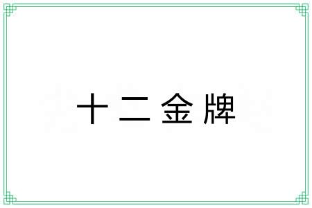 十二金牌 十二金牌