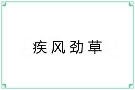 疾风劲草 疾风劲草