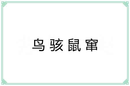 鸟骇鼠窜