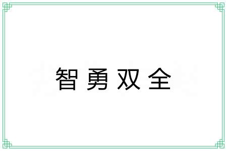 智勇双全 智勇双全