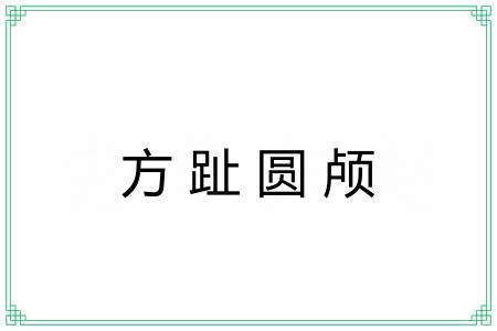 方趾圆颅 方趾圆颅