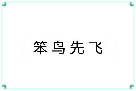 笨鸟先飞 笨鸟先飞