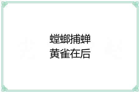 螳螂捕蝉黄雀在后 螳螂捕蝉黄雀在后