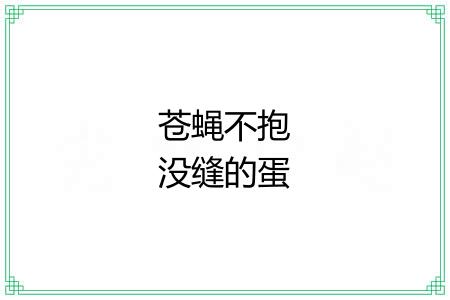 苍蝇不抱没缝的蛋 苍蝇不抱没缝的蛋