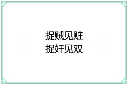 捉贼见赃捉奸见双 捉贼见赃捉奸见双